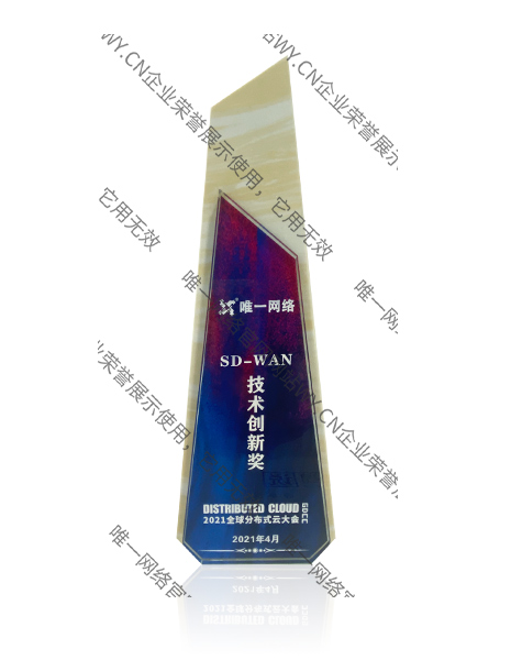 SD-WAN技術創新獎