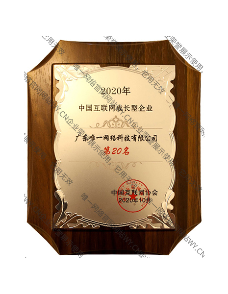 2020年中國互聯網成長型前20家企業