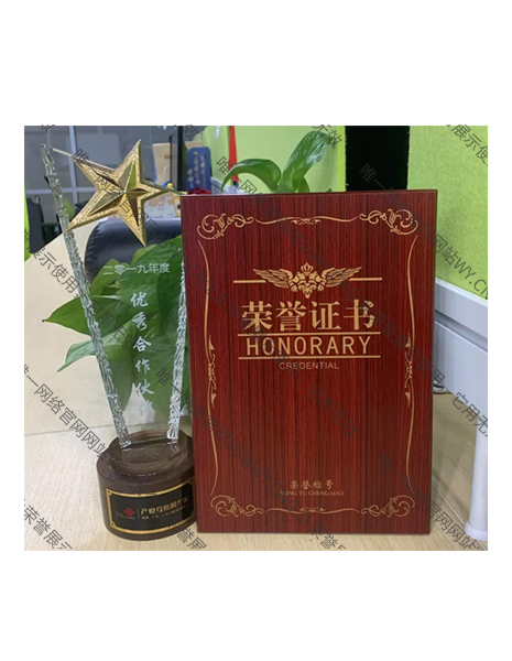 聯通（廣東）“2019年度優秀合作伙伴”