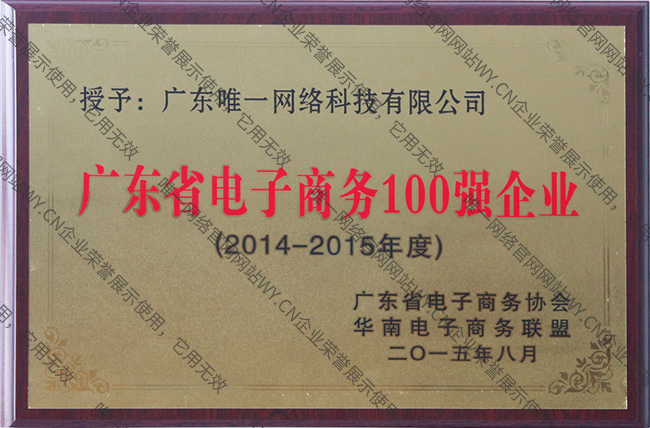 廣東省電子商務100強企業