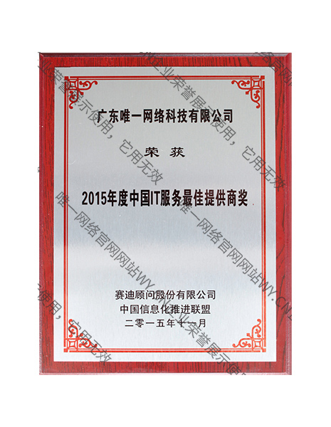 2015年度中國IT服務最佳提供商獎