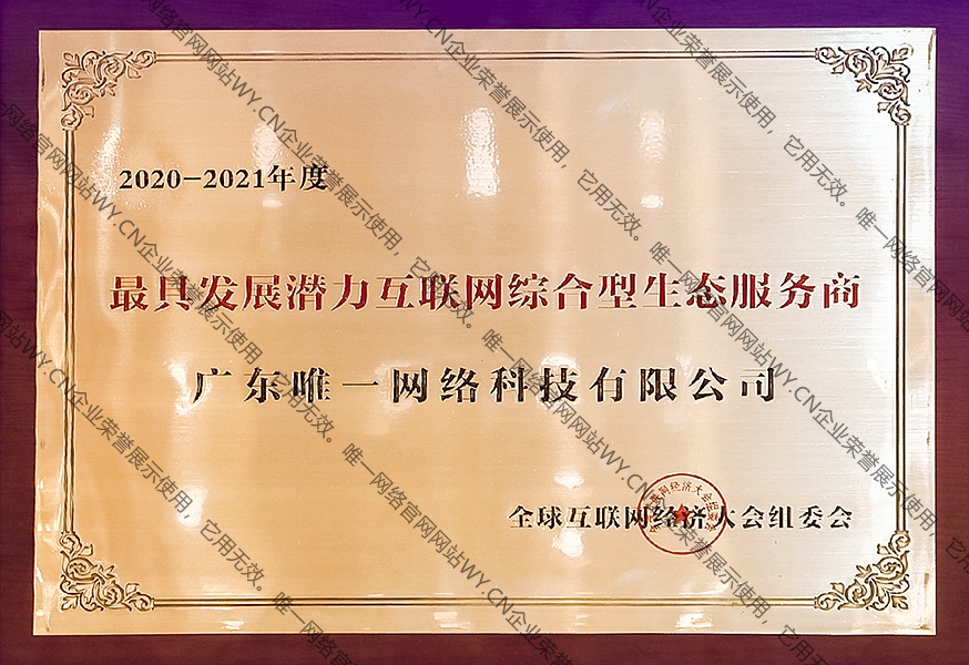 2020-2021年度最具發展潛力互聯網綜合型生態服務商