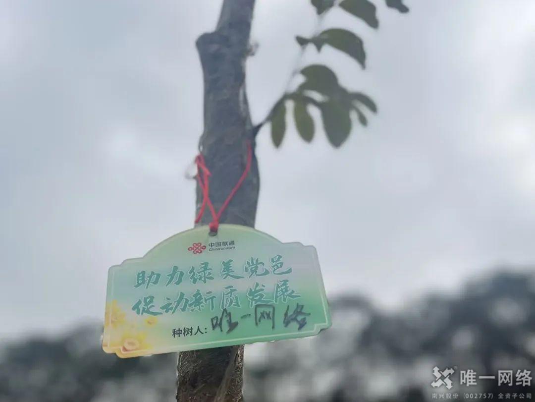 黨建紅賦能生態綠：唯一網絡攜手共建綠美東莞植樹主題黨日活動