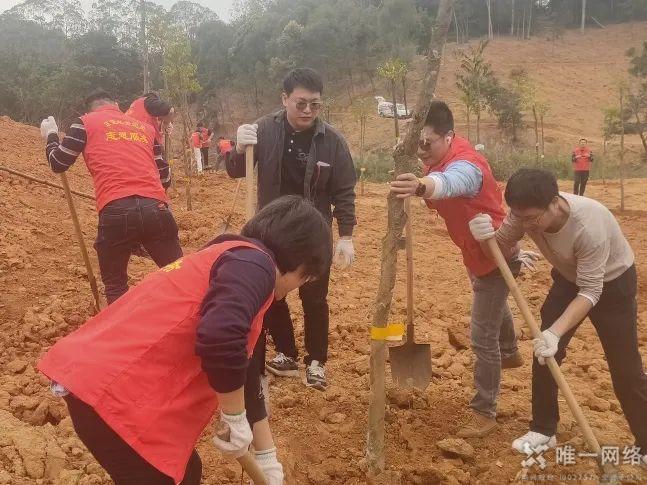 黨建紅賦能生態綠：唯一網絡攜手共建綠美東莞植樹主題黨日活動