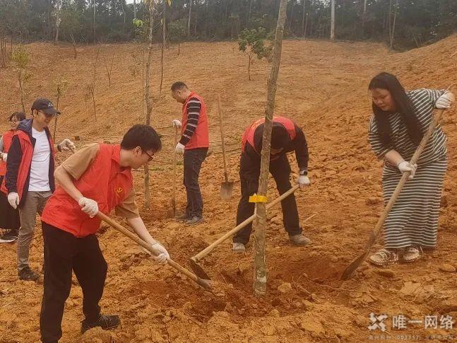 黨建紅賦能生態綠：唯一網絡攜手共建綠美東莞植樹主題黨日活動
